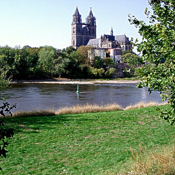 Niedrigwasser in Magdeburg