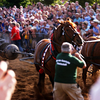 Der Halbkugelversuch