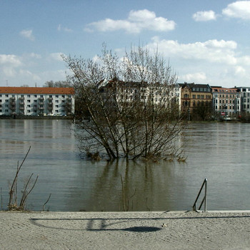 Hochwasser in Magdeburg