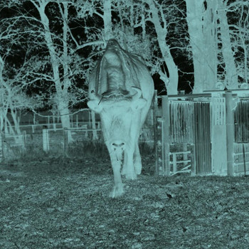 Tierpark Weißewarte