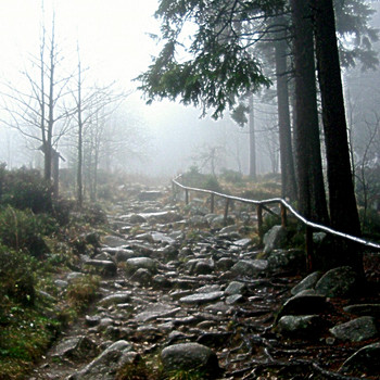 Der Harz