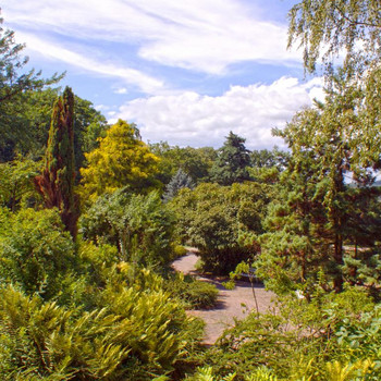 Die Landschaft des Rosariums