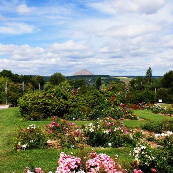 Die Landschaft des Rosariums