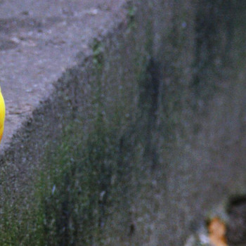 Tierpark Weißewarte