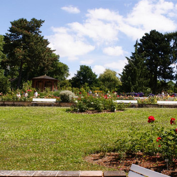 Die Landschaft des Rosariums