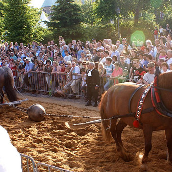 Der Halbkugelversuch
