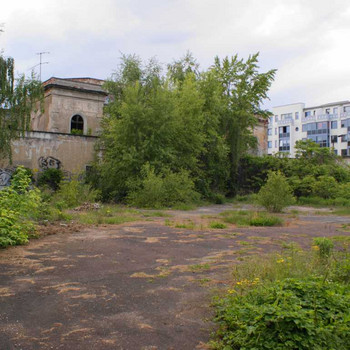 Der Kristall - Palast