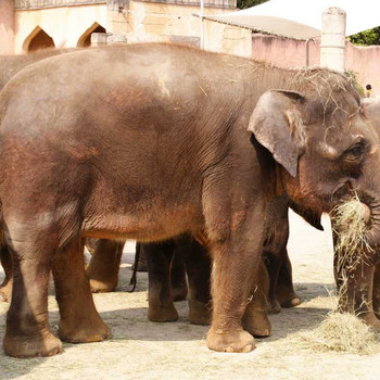 Der Hannover Zoo Teil 3
