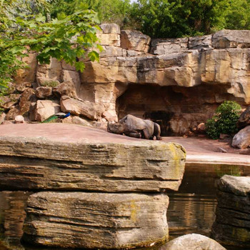 Der Hannover Zoo Teil 1