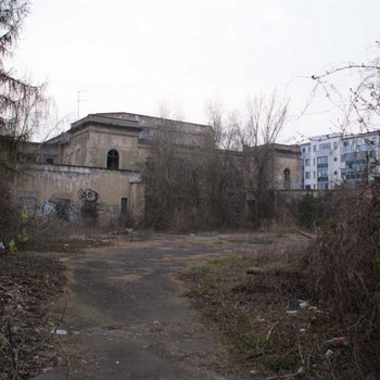 Der Kristall - Palast