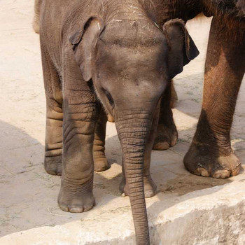 Der Hannover Zoo Teil 3