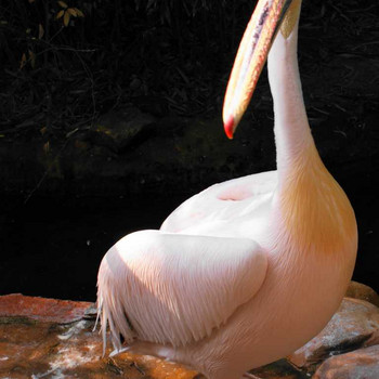 Der Hannover Zoo Teil 1