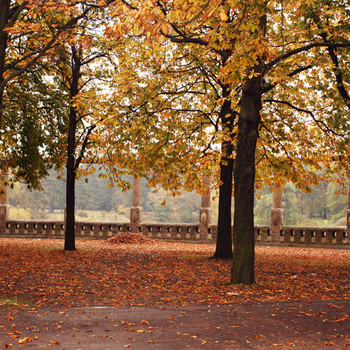 Magdeburger Stadtpark