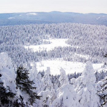 Der Brocken in weiß