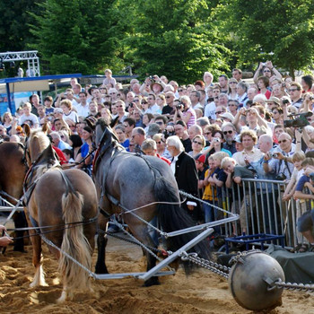 Der Halbkugelversuch