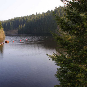 Seeblick