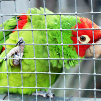 Tierpark Weißewarte