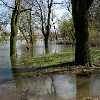 Hochwasser in Magdeburg