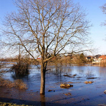 Das Pretziener Wehr