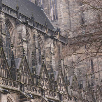 Der Magdeburger Dom