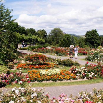 Die Landschaft des Rosariums