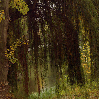 Magdeburger Stadtpark