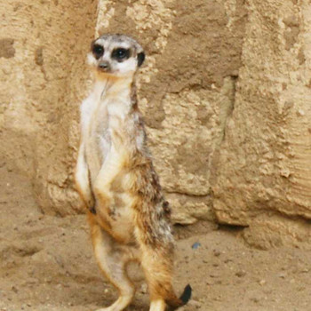 Der Hannover Zoo Teil 1