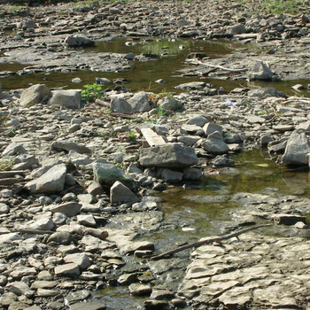 Niedrigwasser in Magdeburg