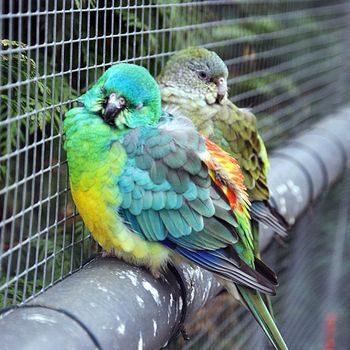 Tierpark Weißewarte