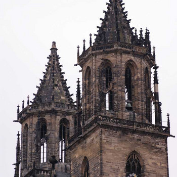 Der Magdeburger Dom