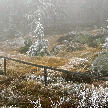 Der Harz