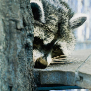 Tierpark Weißewarte