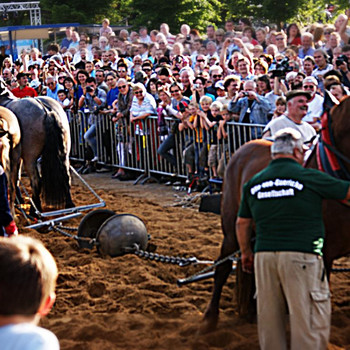 Der Halbkugelversuch
