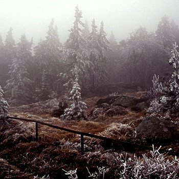 Der Harz
