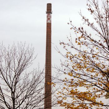 Langer Heinrich - Das Ende