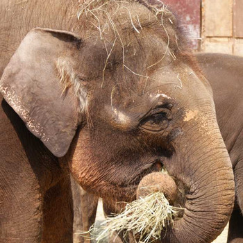 Der Hannover Zoo Teil 3