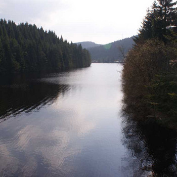 Seeblick