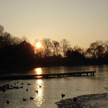 Der See am Wörlitzer Park