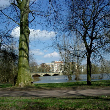 Hochwasser in Magdeburg