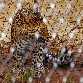 Serengeti - Park