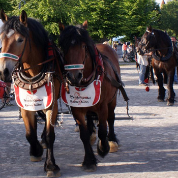 Der Halbkugelversuch