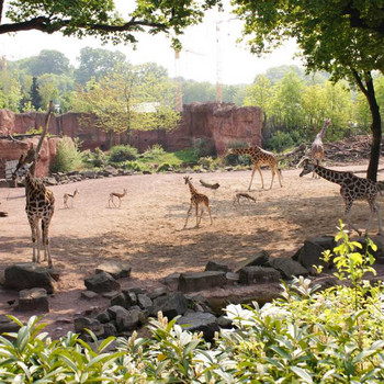 Der Hannover Zoo Teil 1