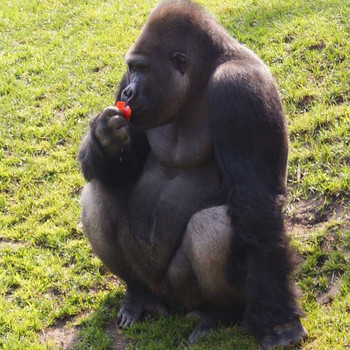 Der Hannover Zoo Teil 2