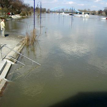 Hochwasser in Magdeburg