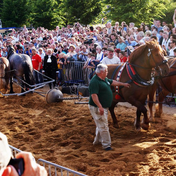 Der Halbkugelversuch