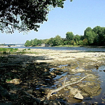 Niedrigwasser in Magdeburg