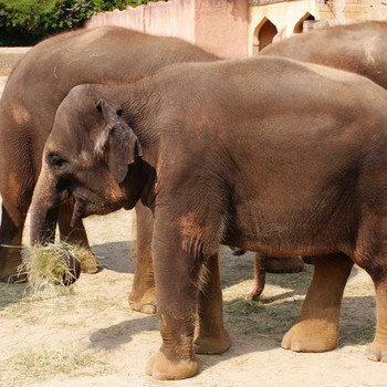 Der Hannover Zoo Teil 3