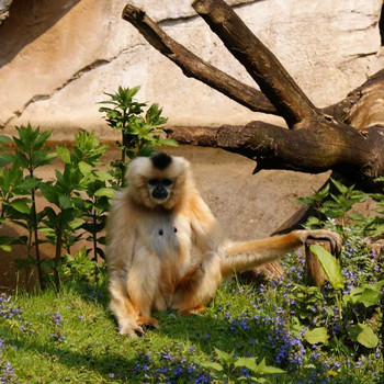 Der Hannover Zoo Teil 2