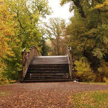 Magdeburger Stadtpark