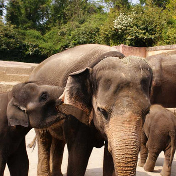 Der Hannover Zoo Teil 3